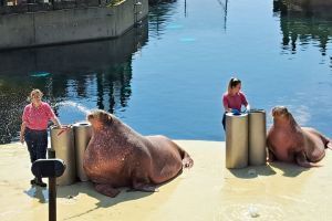 25 jarig jubileum - Locatie Dolfinarium 2023